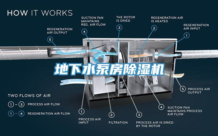 地下水泵房猫咪成人官网