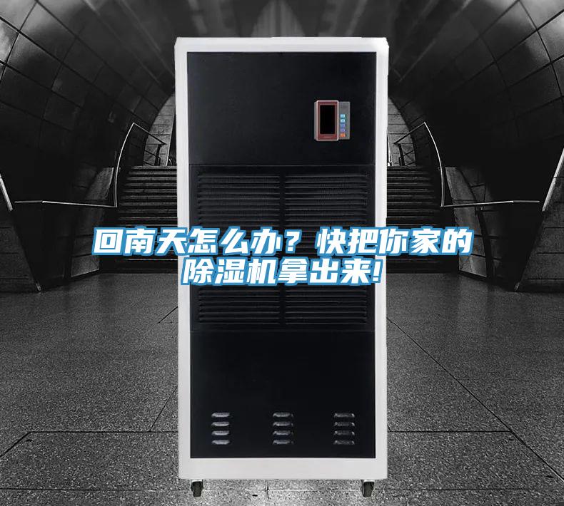 回南天怎么办？快把你家的猫咪成人官网拿出来!
