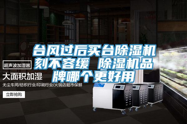 台风过后买台猫咪成人官网刻不容缓 猫咪成人官网品牌哪个更好用