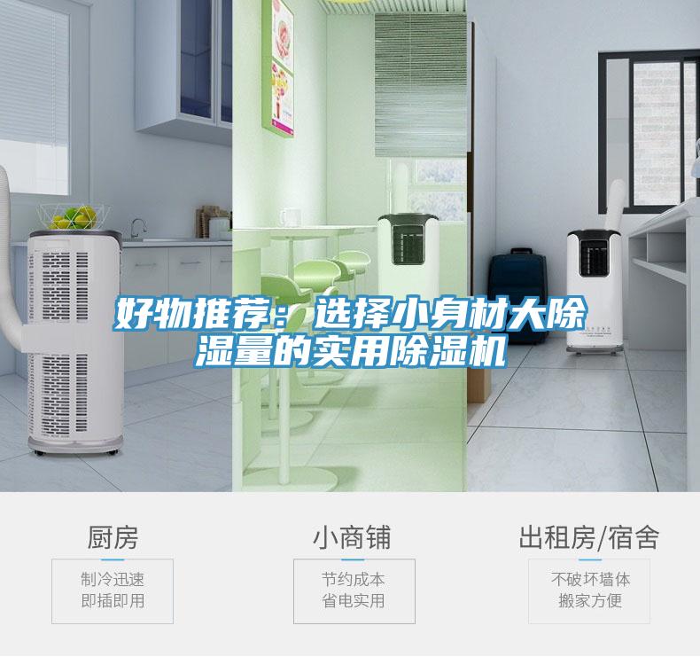 好物推荐：选择小身材大除湿量的实用猫咪成人官网