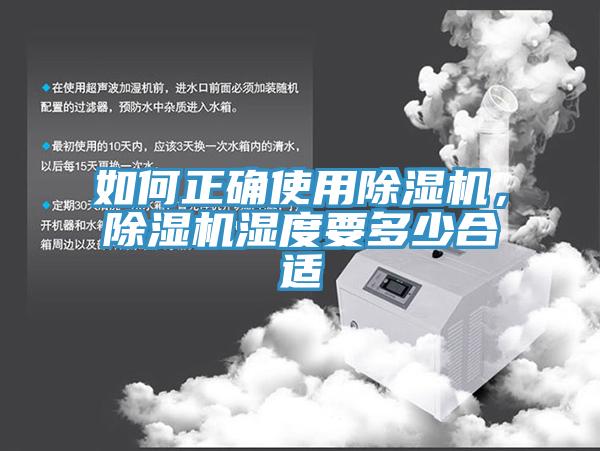 如何正确使用猫咪成人官网，猫咪成人官网湿度要多少合适