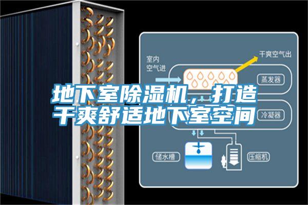 地下室猫咪成人官网，打造干爽舒适地下室空间