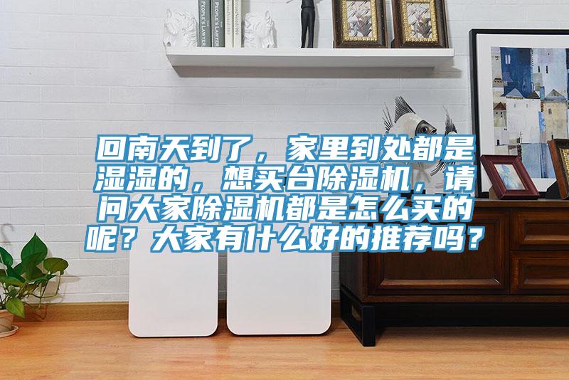 回南天到了，家里到处都是湿湿的，想买台猫咪成人官网，请问大家猫咪成人官网都是怎么买的呢？大家有什么好的推荐吗？