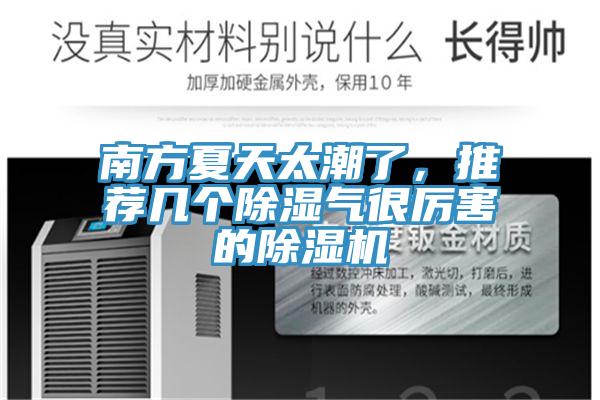 南方夏天太潮了，推荐几个除湿气很厉害的猫咪成人官网