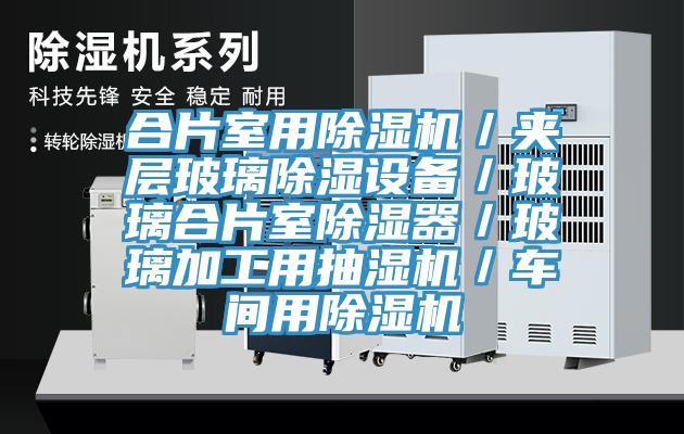合片室用猫咪成人官网／夹层玻璃除湿设备／玻璃合片室除湿器／玻璃加工用抽湿机／车间用猫咪成人官网