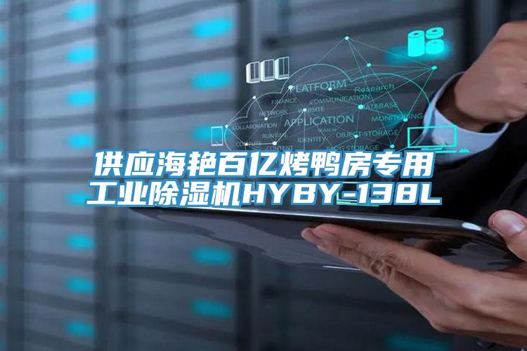 供应海艳百亿烤鸭房专用工业猫咪成人官网HYBY-138L