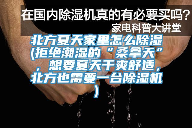 北方夏天家里怎么除湿(拒绝潮湿的“桑拿天”，想要夏天干爽舒适，北方也需要一台猫咪成人官网)