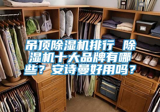 吊顶猫咪成人官网排行 猫咪成人官网十大品牌有哪些？猫咪成人在线视频好用吗？