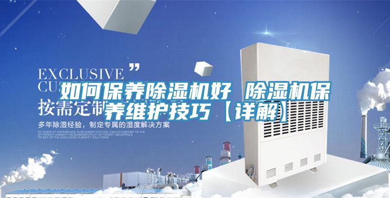 如何保养猫咪成人官网好 猫咪成人官网保养维护技巧【详解】