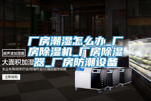厂房潮湿怎么办_厂房猫咪成人官网_厂房除湿器_厂房防潮设备