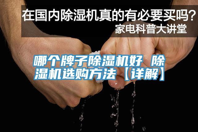 哪个牌子猫咪成人官网好 猫咪成人官网选购方法【详解】