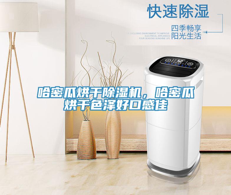 哈密瓜烘干猫咪成人官网，哈密瓜烘干色泽好口感佳