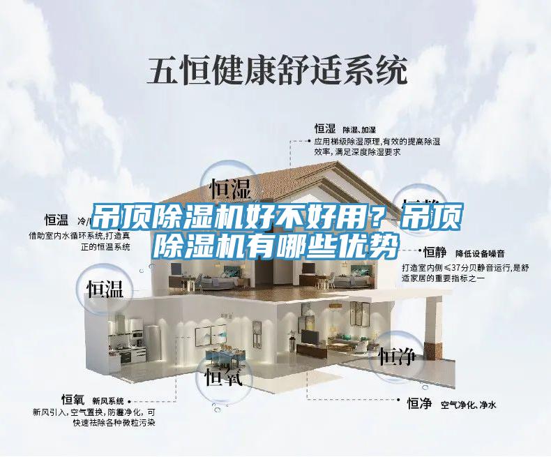 吊顶猫咪成人官网好不好用？吊顶猫咪成人官网有哪些优势