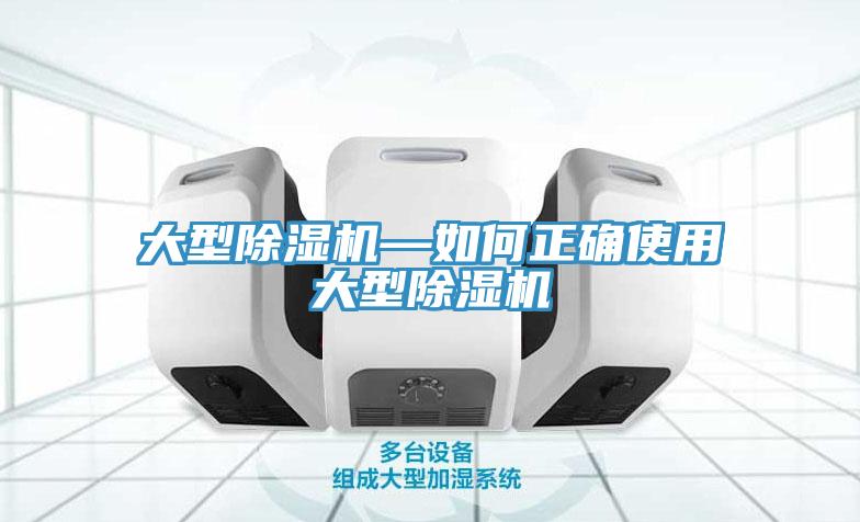 大型猫咪成人官网—如何正确使用大型猫咪成人官网