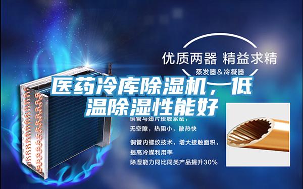 医药冷库猫咪成人官网，低温除湿性能好