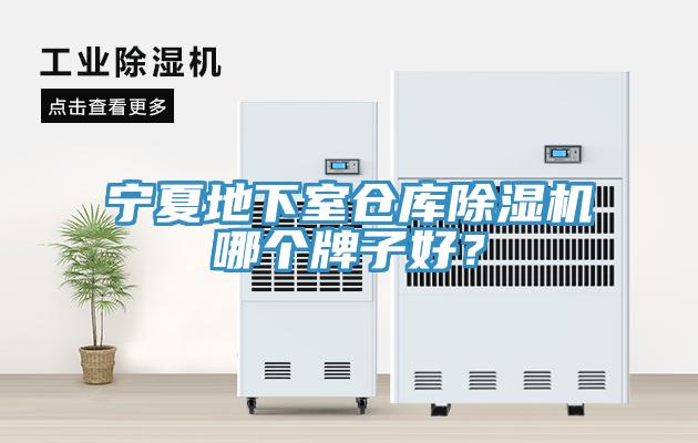 宁夏地下室仓库猫咪成人官网哪个牌子好？