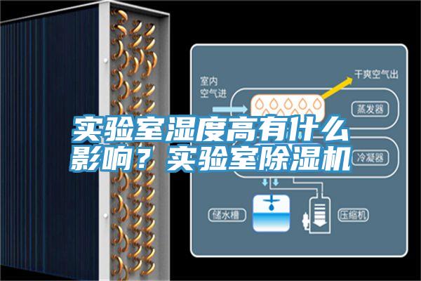 实验室湿度高有什么影响？实验室猫咪成人官网