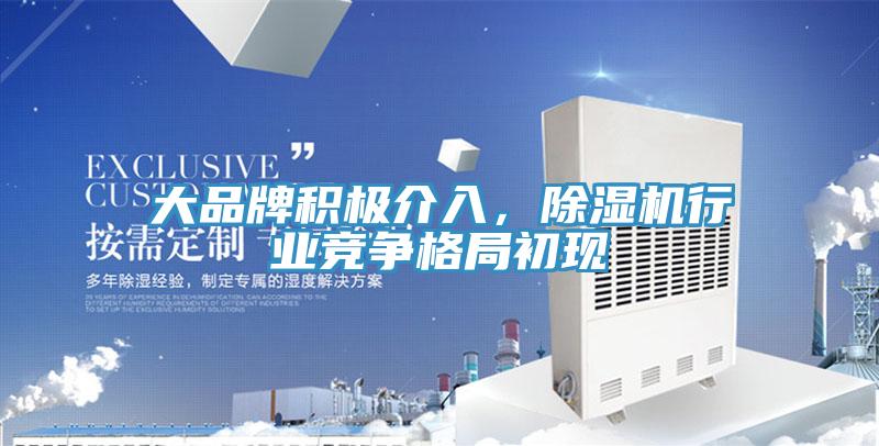 大品牌积极介入，猫咪成人官网行业竞争格局初现