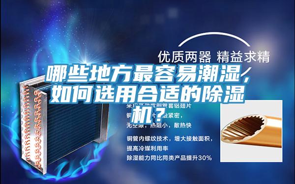 哪些地方最容易潮湿，如何选用合适的猫咪成人官网？