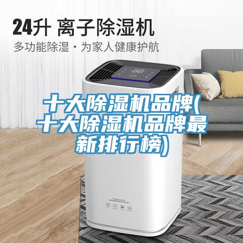 十大猫咪成人官网品牌(十大猫咪成人官网品牌最新排行榜)