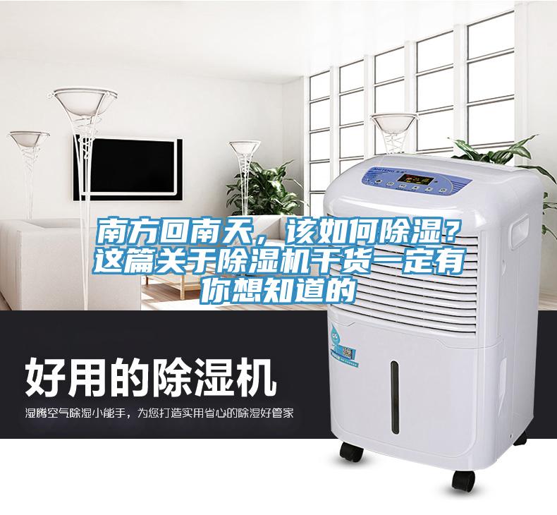 南方回南天，该如何除湿？这篇关于猫咪成人官网干货一定有你想知道的