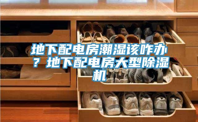 地下配电房潮湿该咋办？地下配电房大型猫咪成人官网