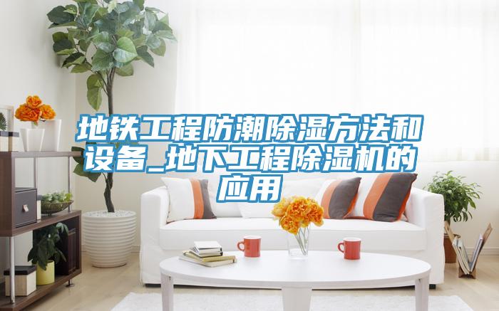 地铁工程防潮除湿方法和设备_地下工程猫咪成人官网的应用