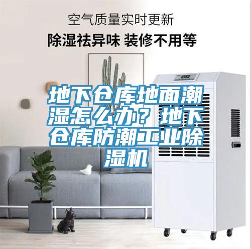 地下仓库地面潮湿怎么办？地下仓库防潮工业猫咪成人官网