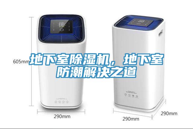 地下室猫咪成人官网，地下室防潮解决之道