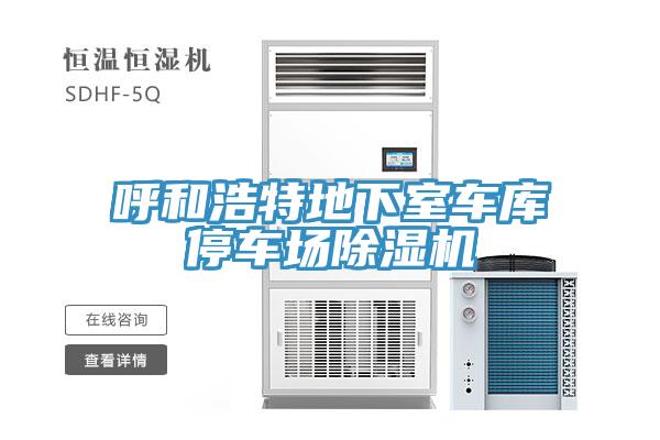 呼和浩特地下室车库停车场猫咪成人官网