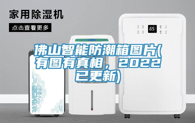 佛山智能防潮箱图片(有图有真相，2022已更新)