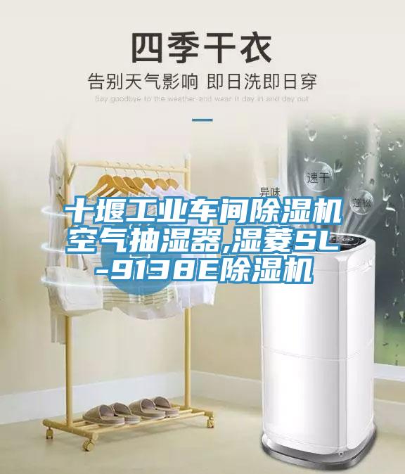 十堰工业车间猫咪成人官网空气抽湿器,湿菱SL-9138E猫咪成人官网