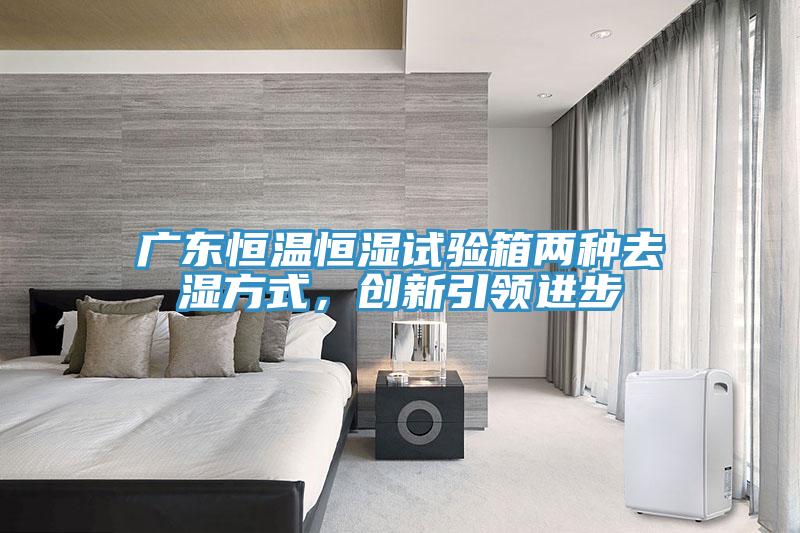 广东恒温恒湿试验箱两种去湿方式，创新引领进步