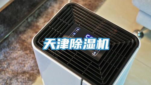 天津猫咪成人官网