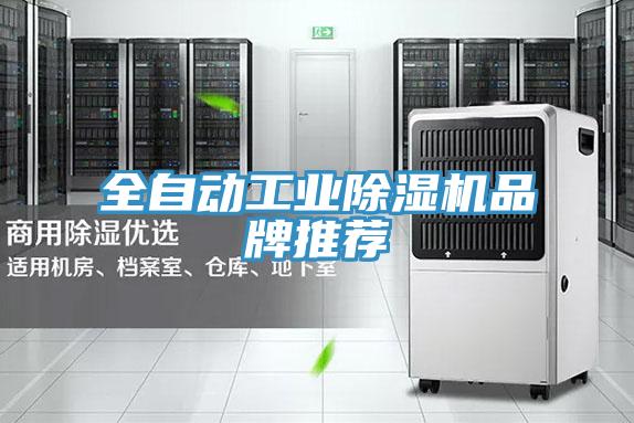 全自动工业猫咪成人官网品牌推荐