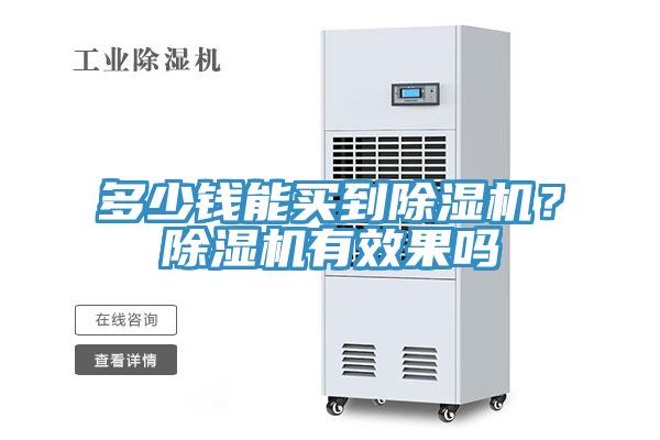 多少钱能买到猫咪成人官网？猫咪成人官网有效果吗