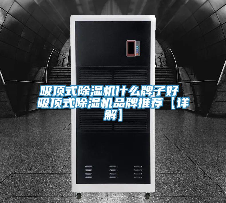吸顶式猫咪成人官网什么牌子好 吸顶式猫咪成人官网品牌推荐【详解】