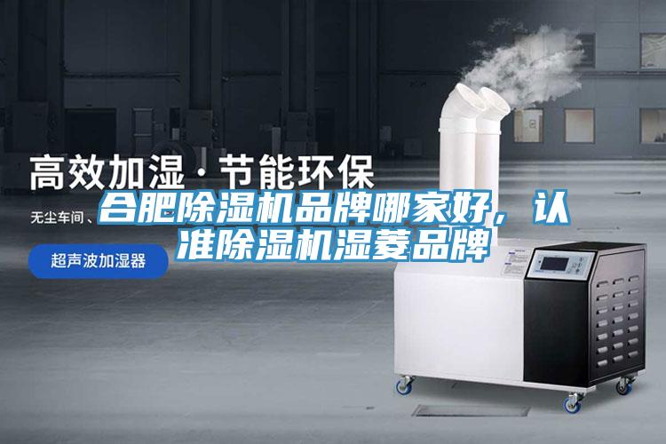 合肥猫咪成人官网品牌哪家好，认准猫咪成人官网湿菱品牌