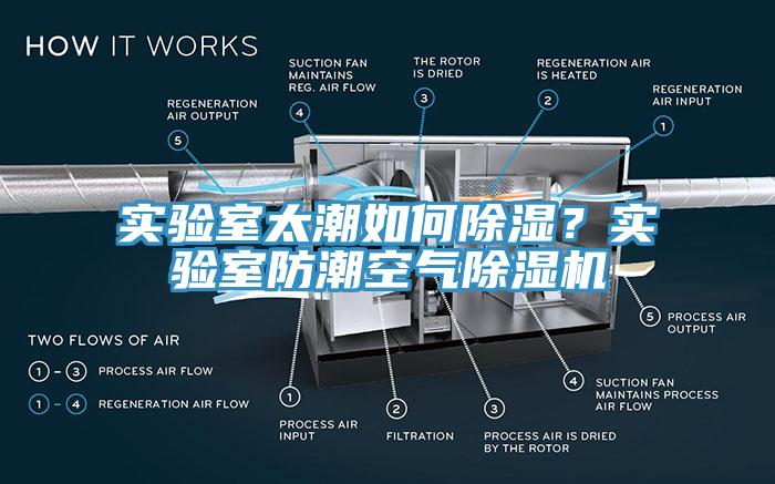 实验室太潮如何除湿？实验室防潮空气猫咪成人官网