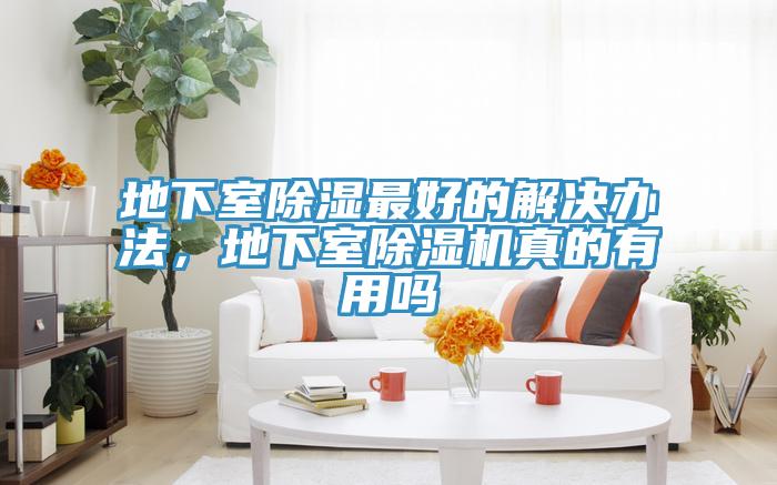地下室除湿最好的解决办法，地下室猫咪成人官网真的有用吗