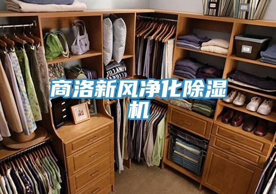 商洛新风净化猫咪成人官网