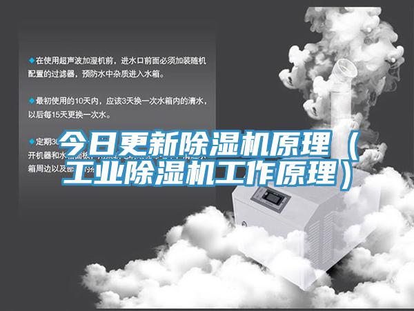 今日更新猫咪成人官网原理（工业猫咪成人官网工作原理）