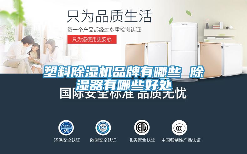 塑料猫咪成人官网品牌有哪些 除湿器有哪些好处