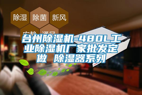 台州猫咪成人官网-480L工业猫咪成人官网厂家批发定做 除湿器系列