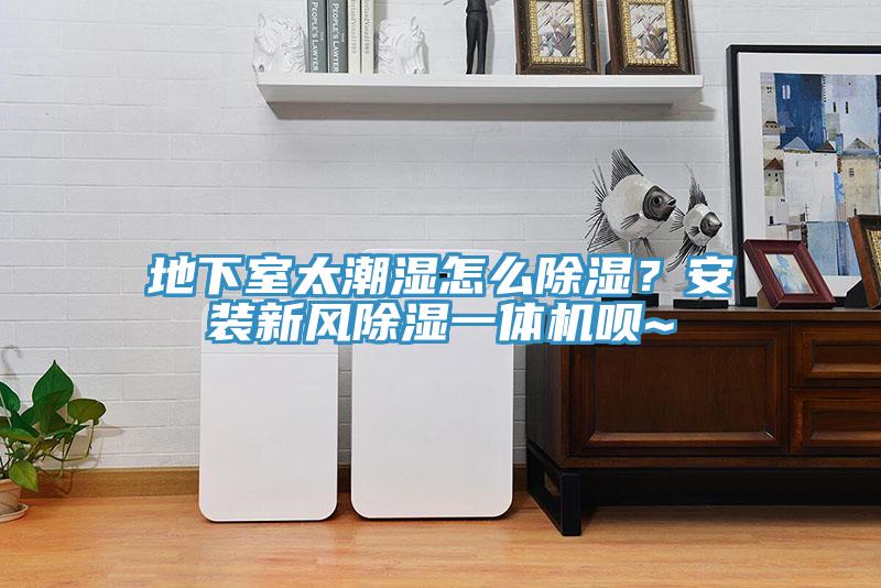 地下室太潮湿怎么除湿？安装新风除湿一体机呗~