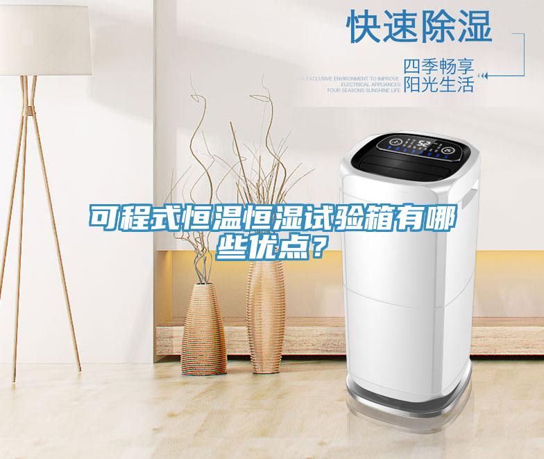 可程式恒温恒湿试验箱有哪些优点？