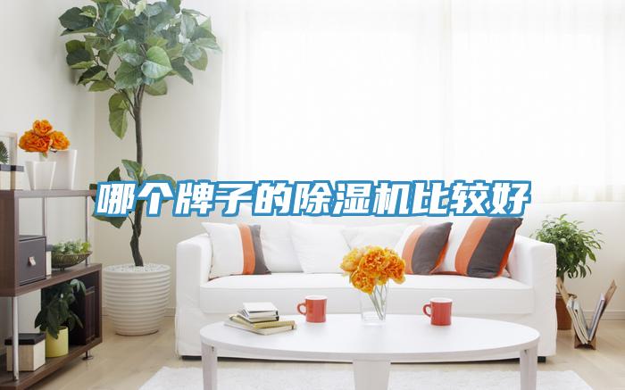 哪个牌子的猫咪成人官网比较好
