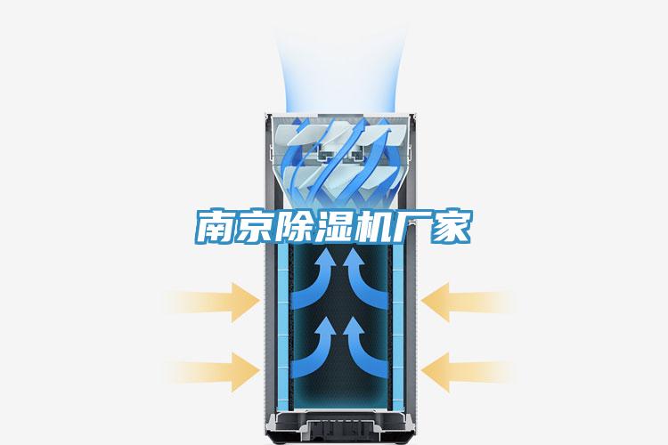 南京猫咪成人官网厂家