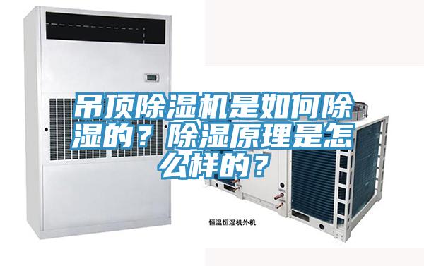 吊顶猫咪成人官网是如何除湿的？除湿原理是怎么样的？