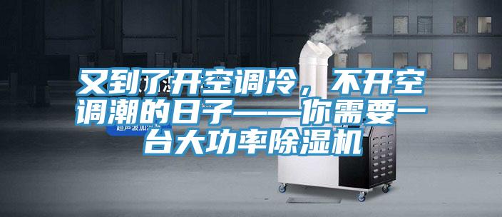 又到了开空调冷，不开空调潮的日子——你需要一台大功率猫咪成人官网